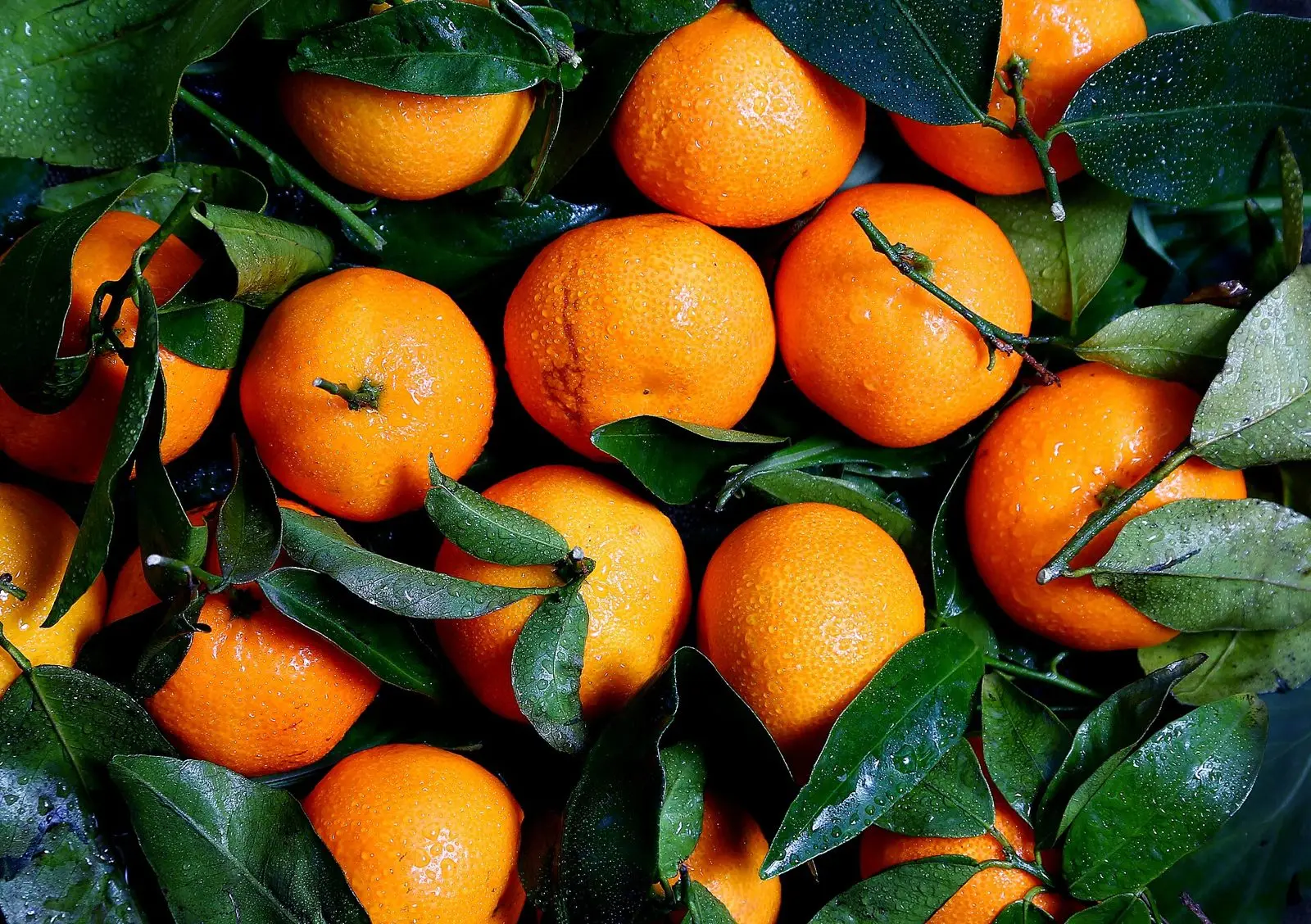 Pomarańcze – owoce bogate w witaminę C