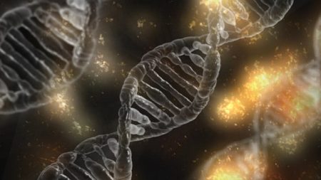 nutrigenomika, DNA