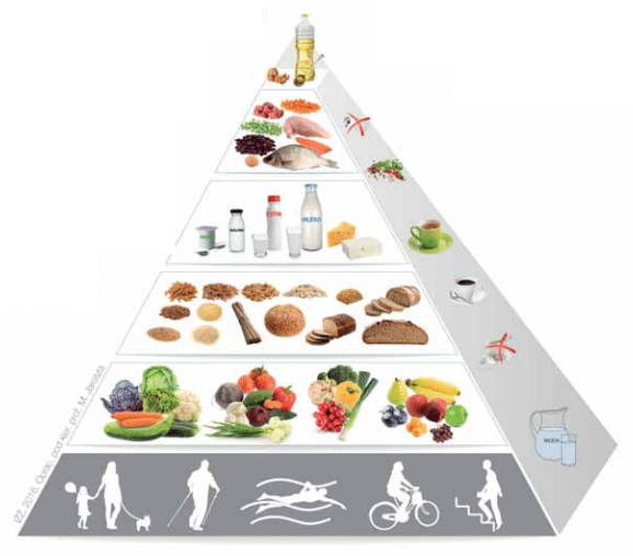 piramida żywienia 2018
